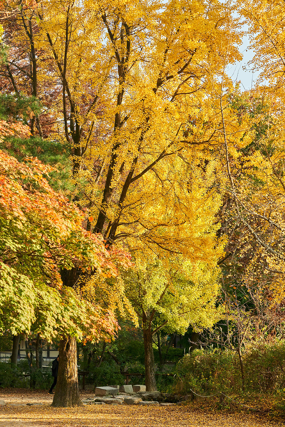 https://pub.koreanfolk.co.kr/drive-download-20250721T051314Z-1-001/02+Image/06+Contents/HM-004-003-000/00+Thumbnail/03+Folk+Village+Autumn.jpg
