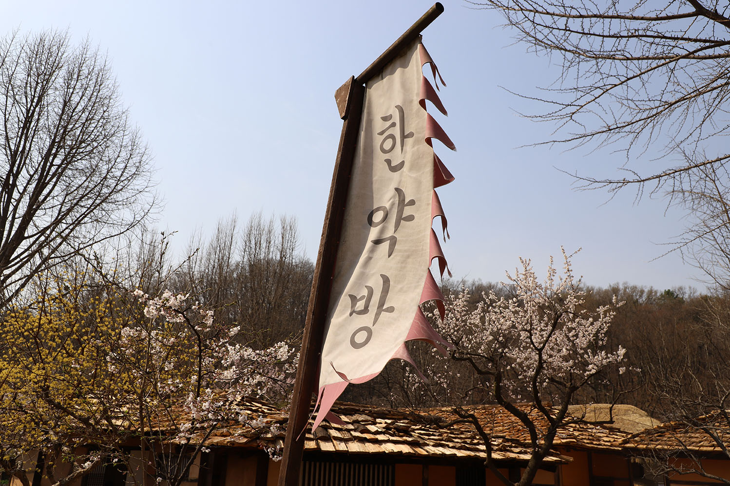 한약방 - Image 2