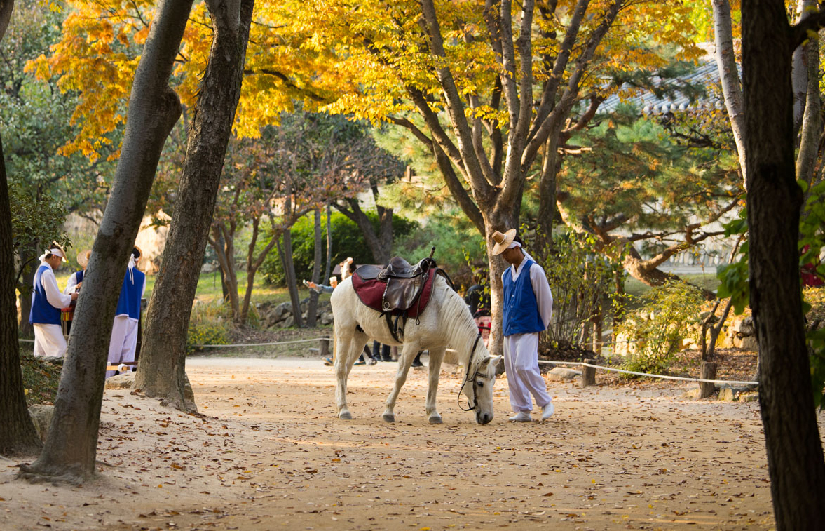 승마체험 - Image 4