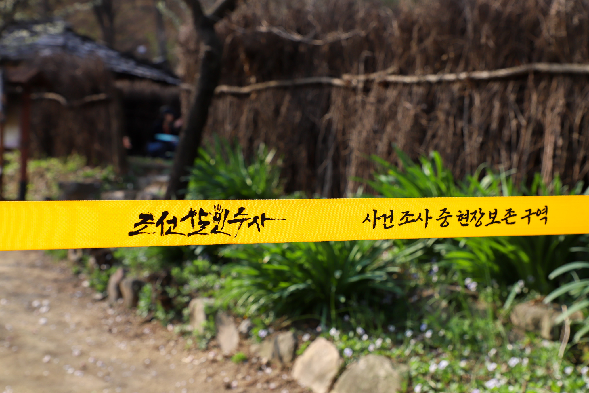 조선살인수사