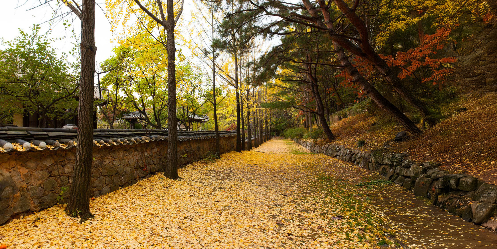 후원길 - Image 2