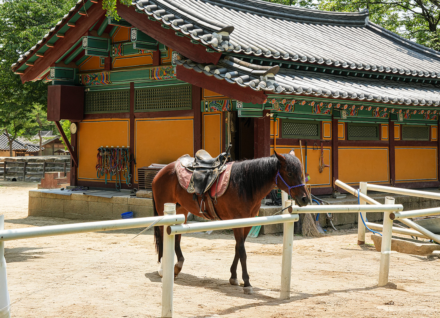 승마체험
