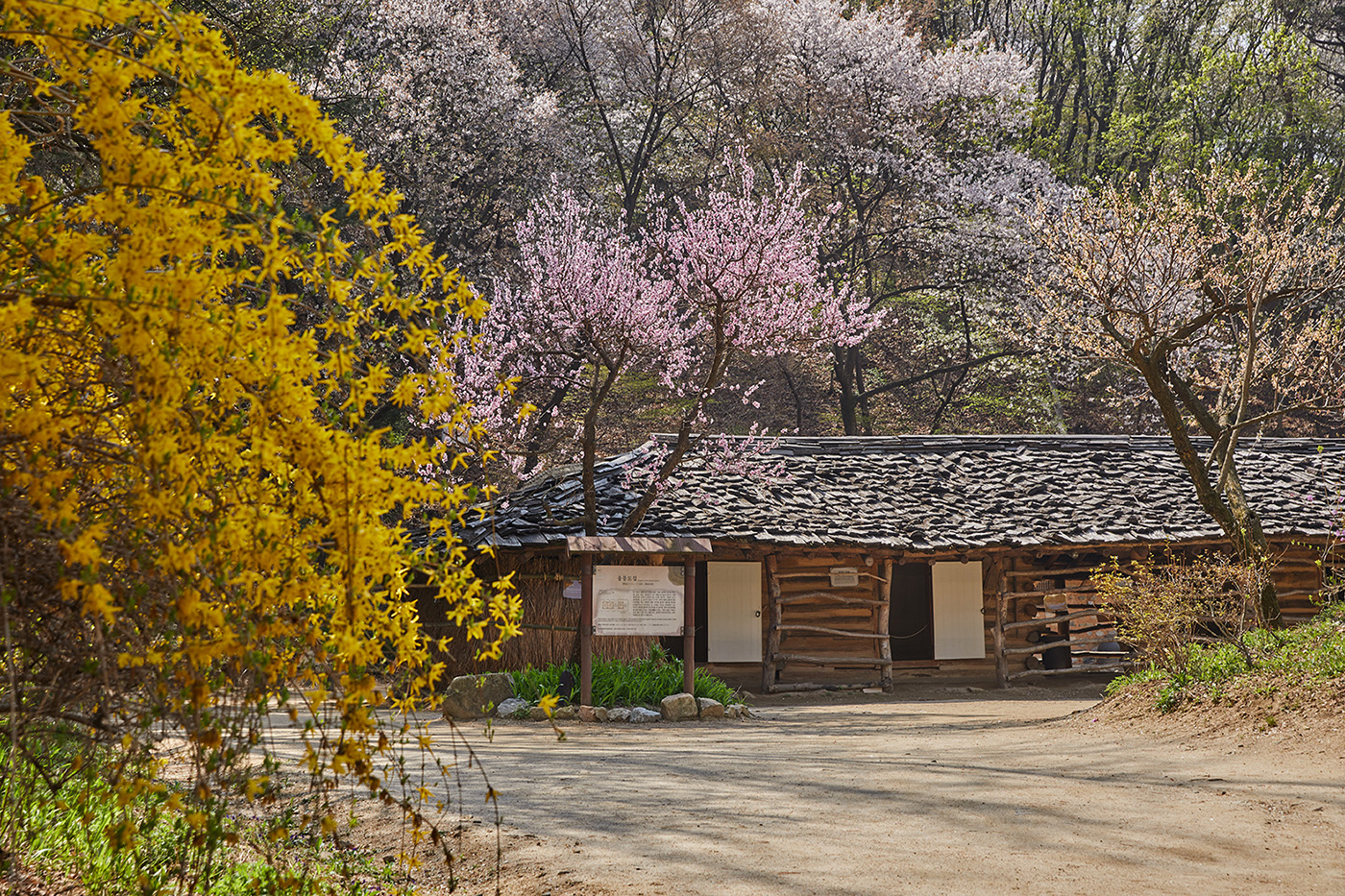 전시가옥