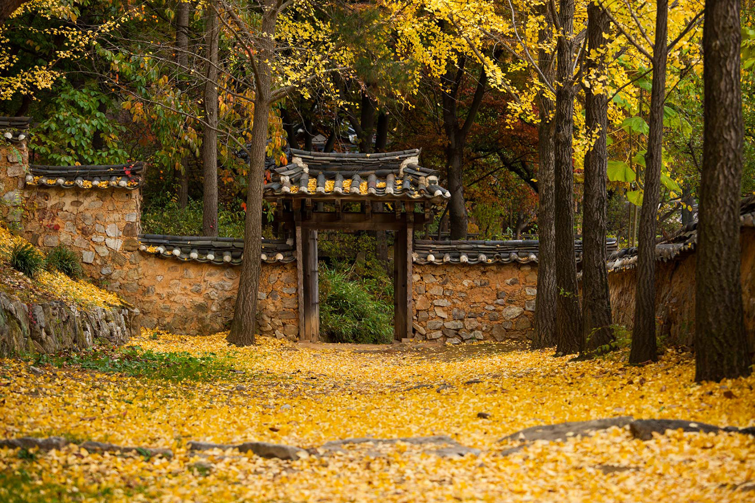 후원길 - Image 3