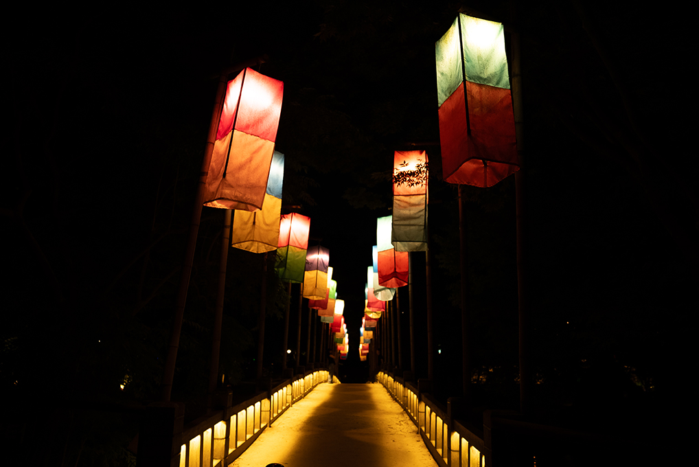 제주목교 - Image 6