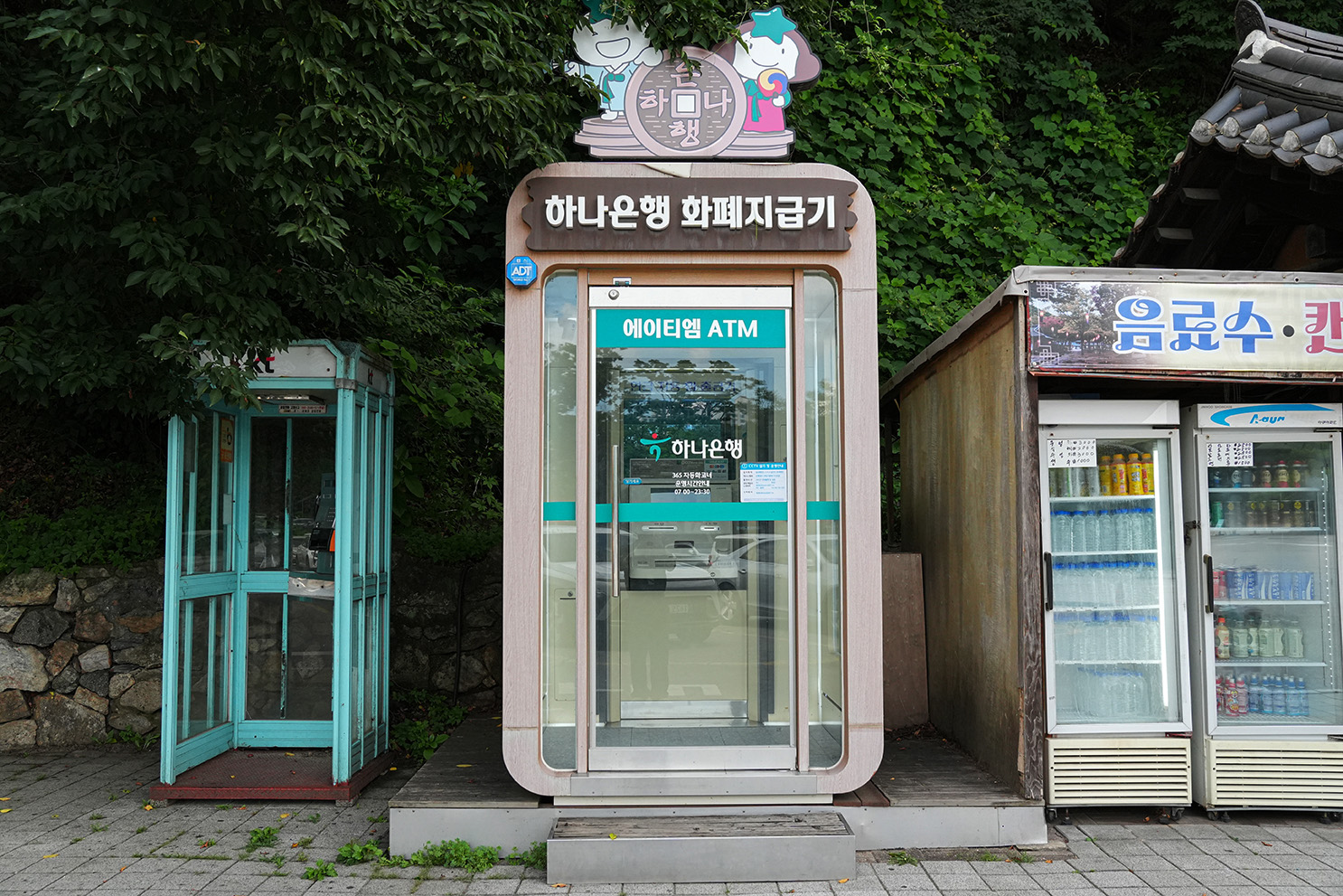 현금인출